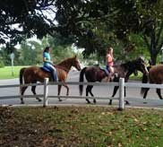 Guests riding horses along a tree-lined path near the inn